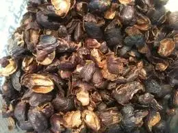 Qesher qahwa (coffee husk) powder organic compost Qesher qahwa powder is used as fertilizer for plants