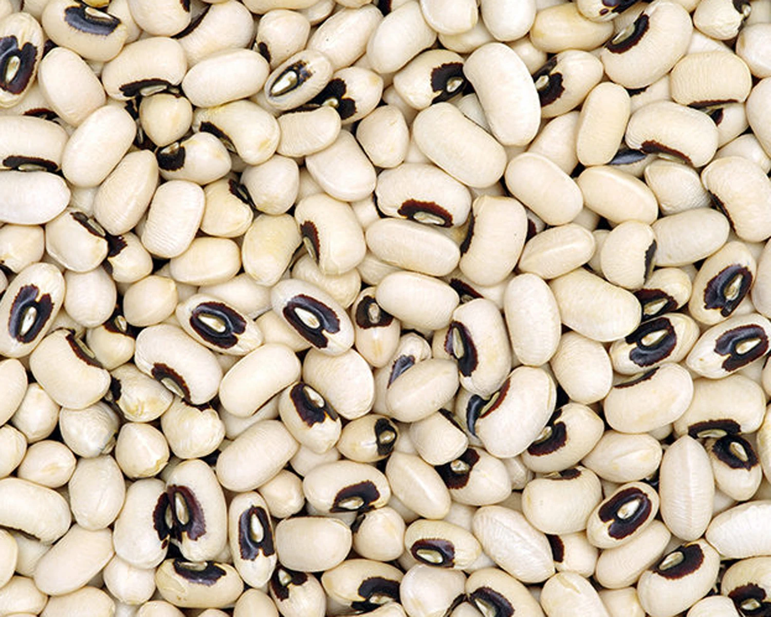 Черных кругов под глазами фасоли