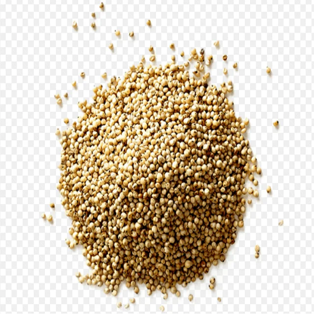 Sorghum White Milo Sorghum Grains Sorghum Price Per Ton for sale