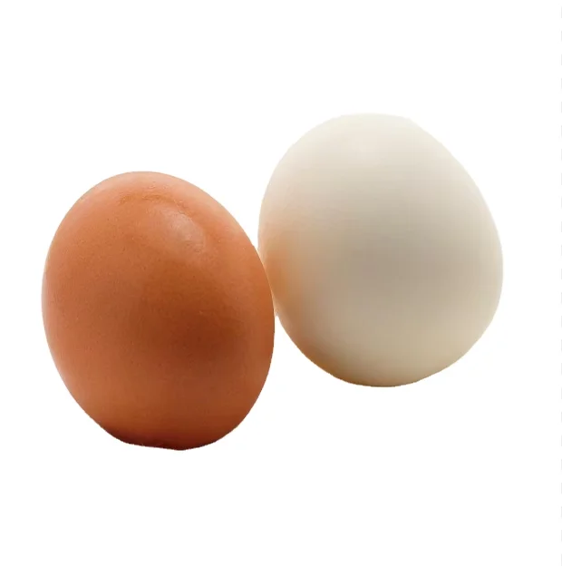 2024 Buy Farm Fresh Chicken Eggs in Bulk - Natural White & Brown - Wholesale, Fast Shipping, On Sale