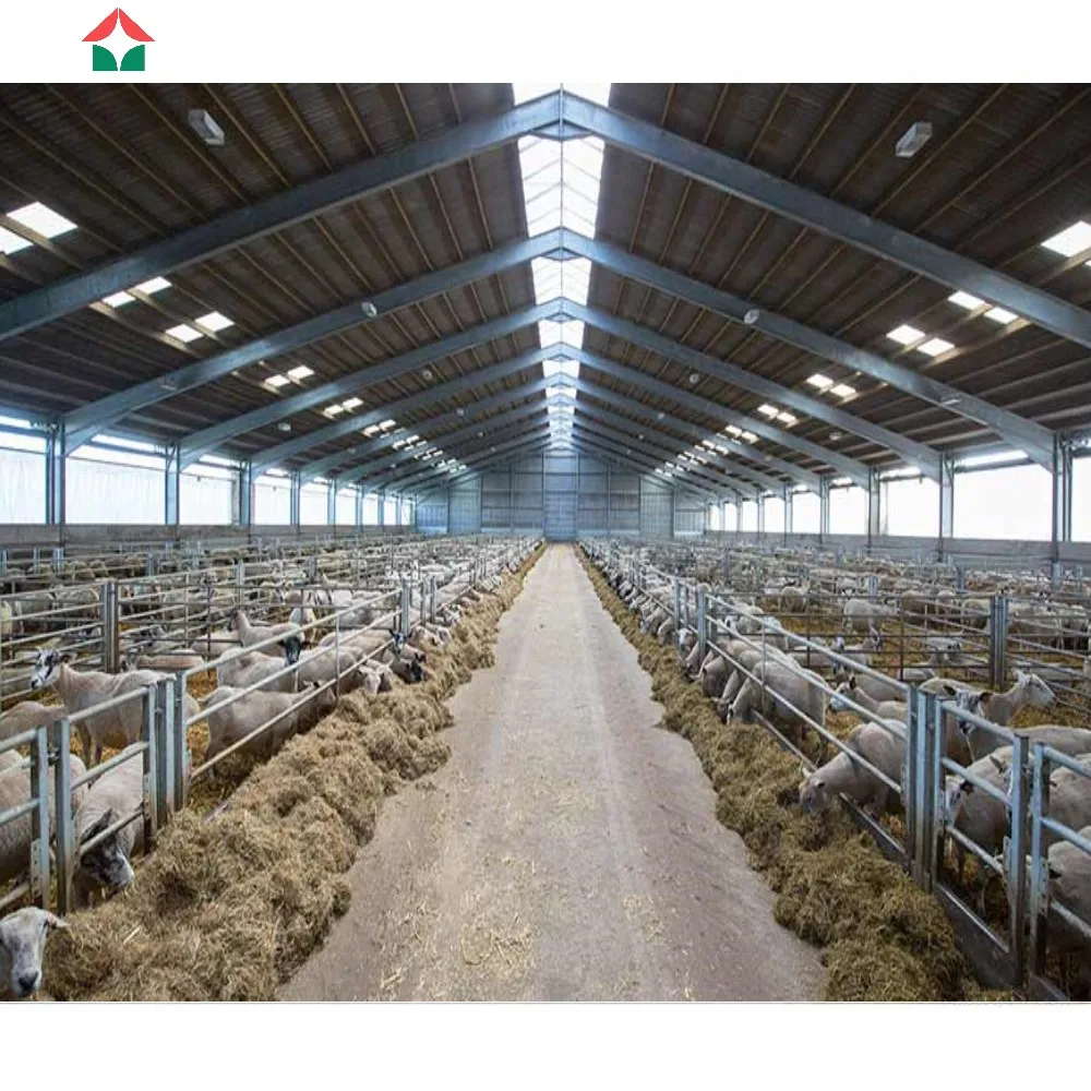 High Quality Cow Shed Design Easy Install Metal Shed Prefabricated Cattle Diary Farming Barn Cow Hangar Shed Steel Structures