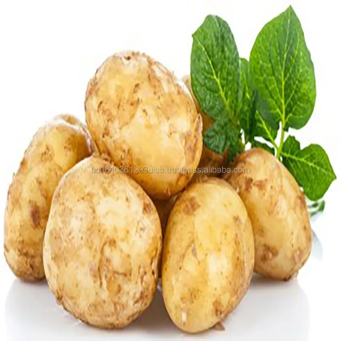 2023 Best Sale Premium Quality AUSTRIA Fresh Diamond Potato in a Wholesale Rate