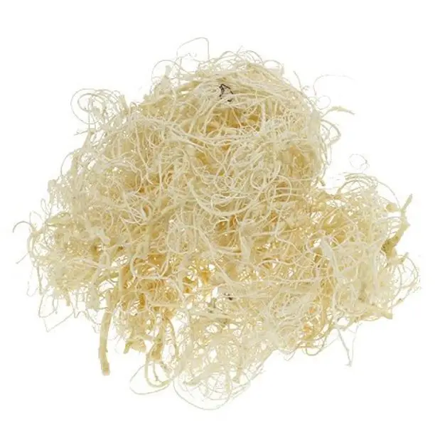 Popular Premium Quality Curly Moss for Wedding Home Event Office Decor & Dried Flower Arrangement