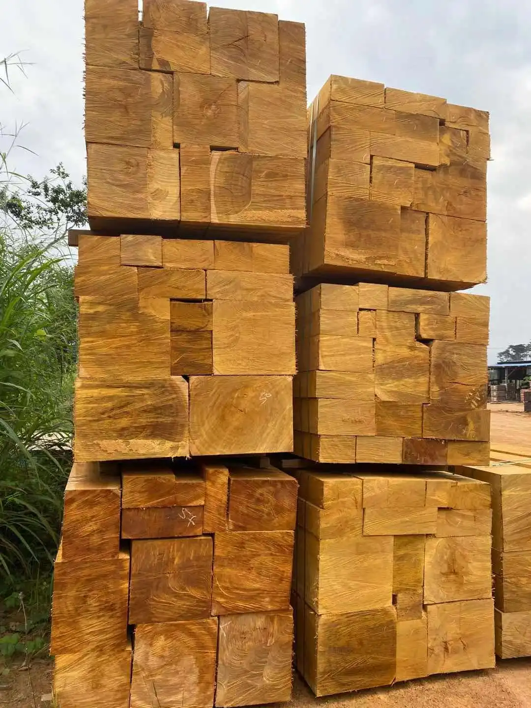Bilinga sawn timber from Gabon, High quality with low price