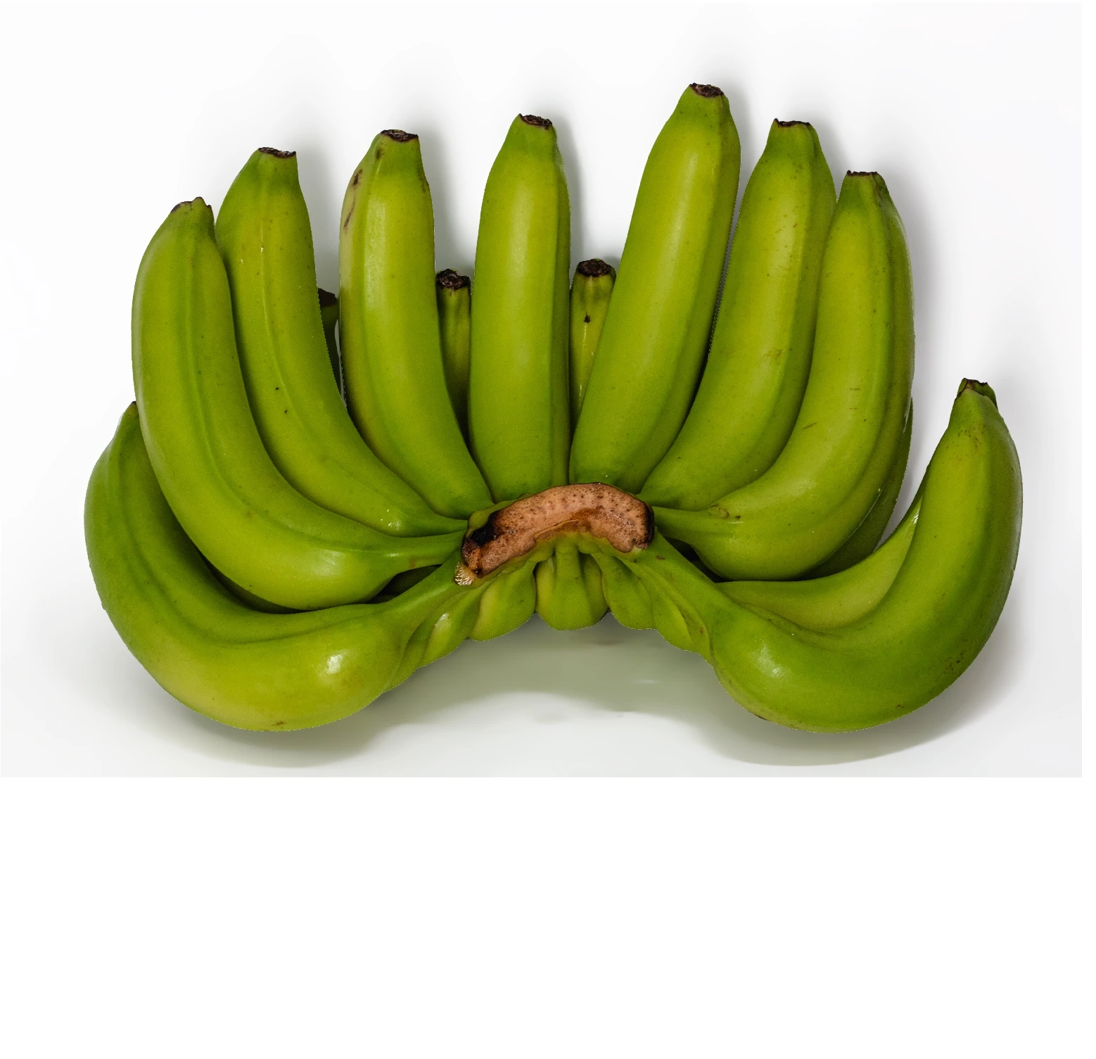 High Quality Green Fresh Cavendish Banana from Unifarm Vietnam- Fresh Cavendish Banana - 100%  Green Fresh Cavendish
