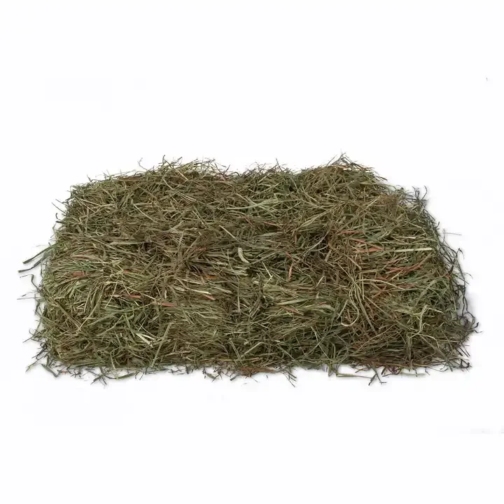 Dried and Fresh  Alfalfa Hay  Pellets  / Alfalfa Hay for sale