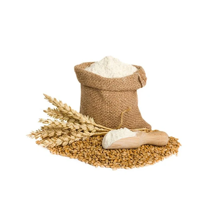 Best Market Price Wheat Grain In Bulk 100% Pure & Nutrition Wheat Grain Buy From Indian Manufacturer