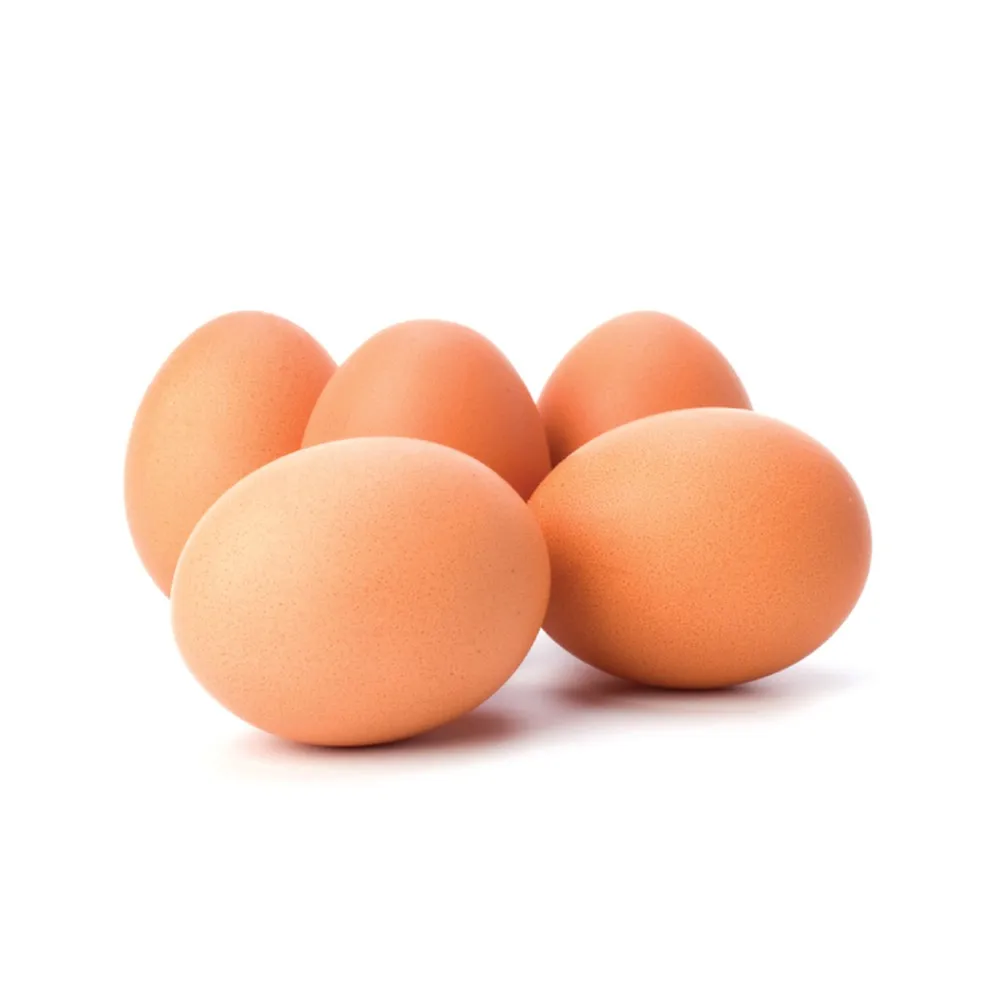 Broiler Hatching Eggs Cobb 500 and Ross 308 / Chicken