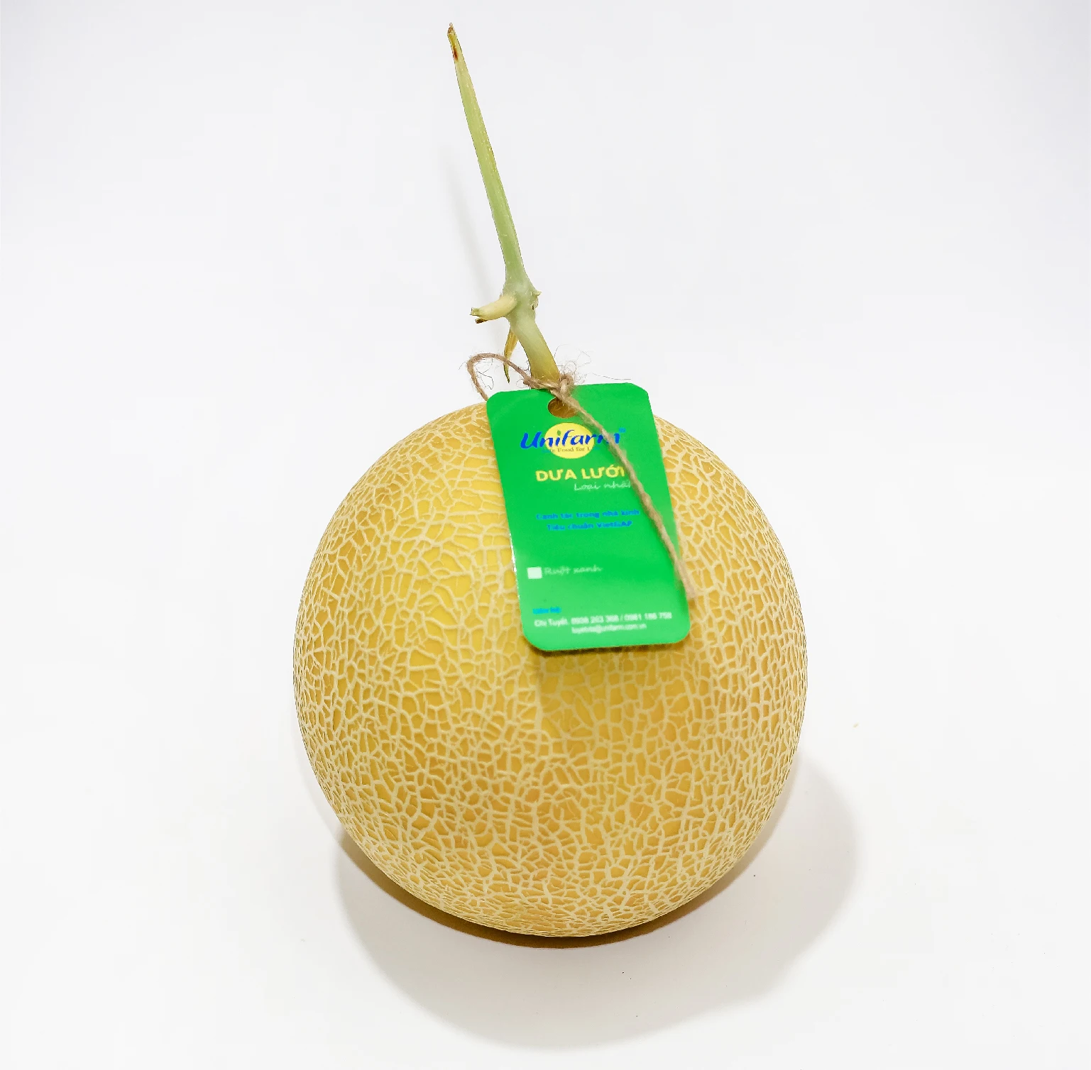 Made in Vietnam Fresh Melon - Custom Package Sweet Organic Juicy Cantaloupe Melon Healthy Tropical Fruits