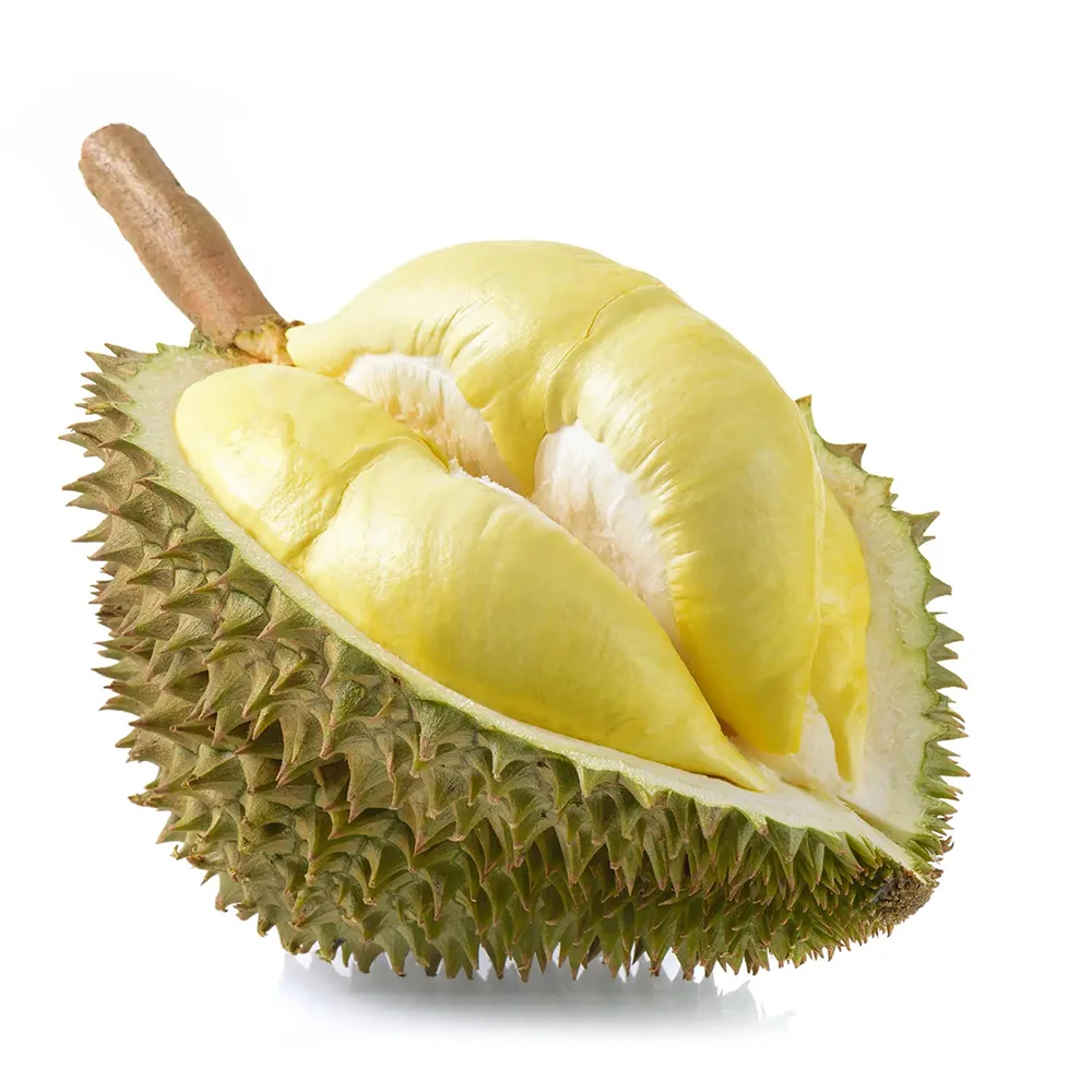 Top quality Fresh Durians Fruit with best price Durian for sale