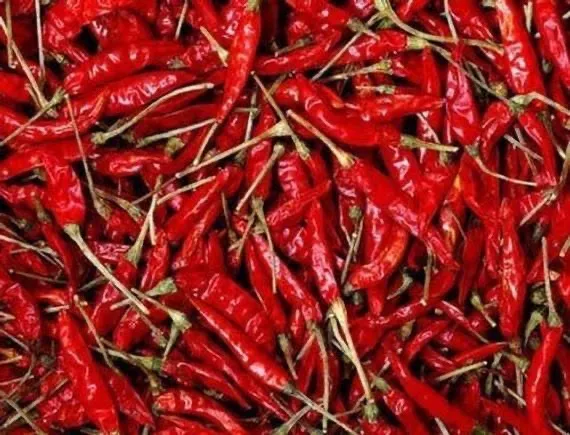 Wholesale Good Quality Cheap Price DRIED RED CHILLI From Viet Nam