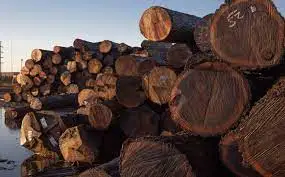 Высококачественные деревянные бревна из Тиковой сосны для дизайна собственных домов, офисная мебель и камины