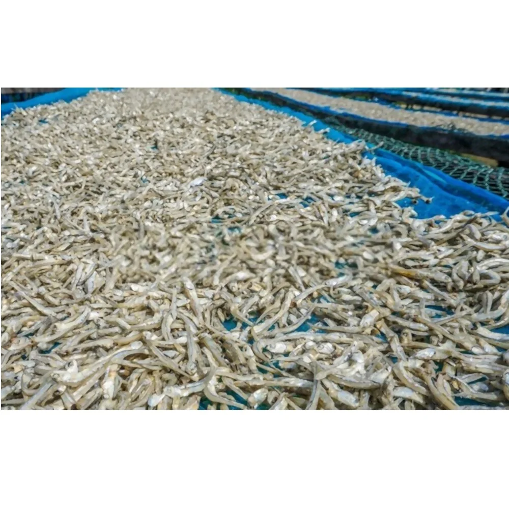 100% natural fresh anchovies Ingredients Sundry Bulk Dried Seafood Dried Salted Anchovies dry Anchovy