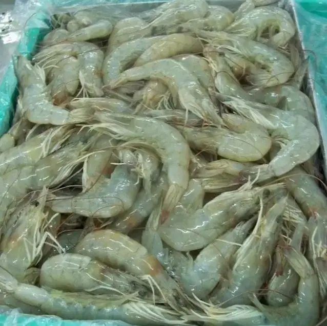 Замороженные креветки