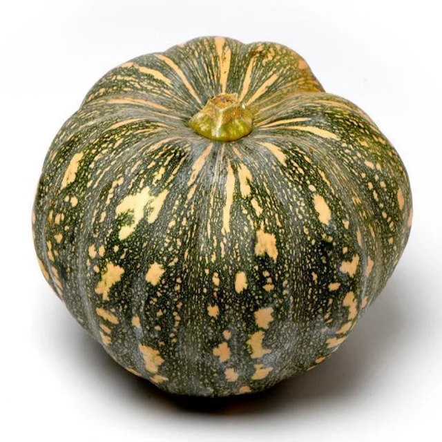 Fresh pumpkin originating in Vietnam export goods round fruit green skin with yellow flesh