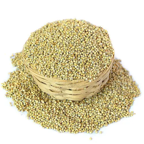 dried  Pearl Millet 3.jpg