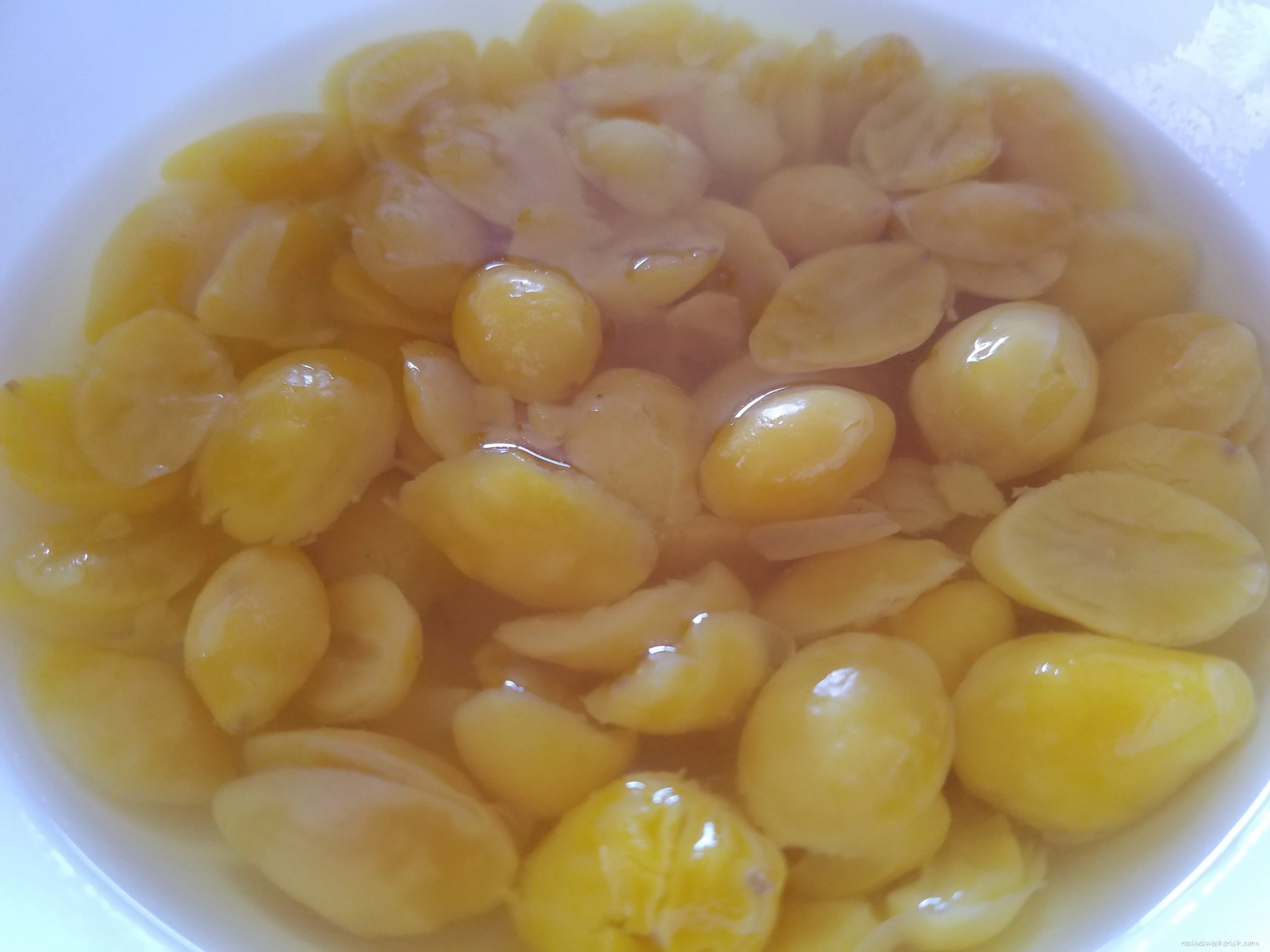 Best Price dried Quality Ginkgo Nuts For Sale wholesale