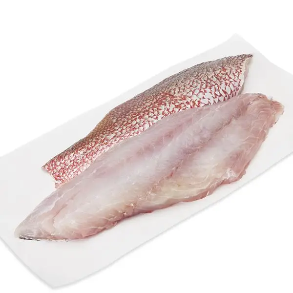 Purchase premium snapper fish at a discount