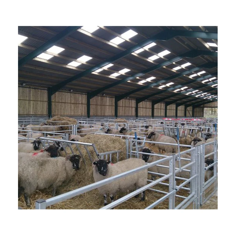 Prefabricated steel structure pig shed cow house I beam steel frame easy build sail cow housing for sale