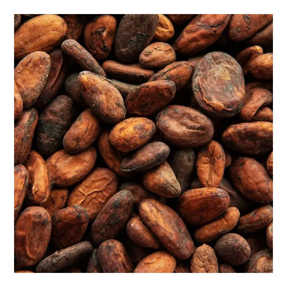 100% Cacao Beans seeds and Cocoa premium quality Natural cocoa West Africa cocoa beans wholesale suppliers