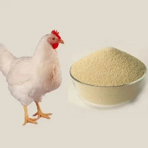 Feed additive xylanase enzyme for Poultry feed