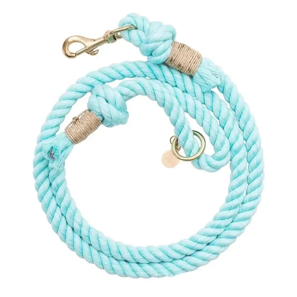 Wholesale Pet Dog Collar and Rope Leash Set Hands Free Pet Dog Collars and Running Leashes Dog accessories