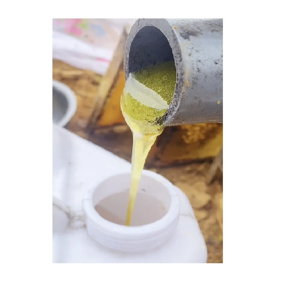 Competitive Price Organic Natural Forest Honey For Drinking, Cooking and Skincare with High Quality From Vietnam