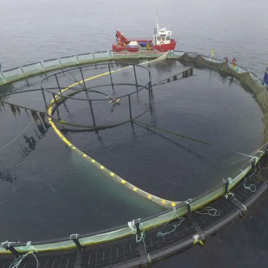 Аквакультура морской окус-морской лещ плавающая сетчатая клетка/HDPE Aqua Floating Fish Cage System
