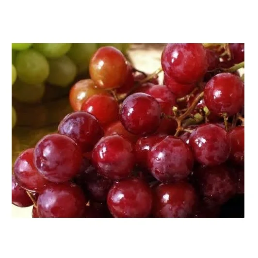Grapes Sweet & Seedless Natural Green Grapes with Rich Vitamins Produced in France