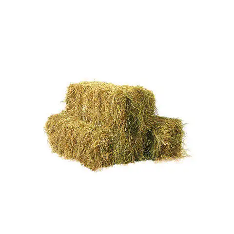 Bulk Quality Alfalfa Hay / Timothy Alfafa Hay / Rhode Hay