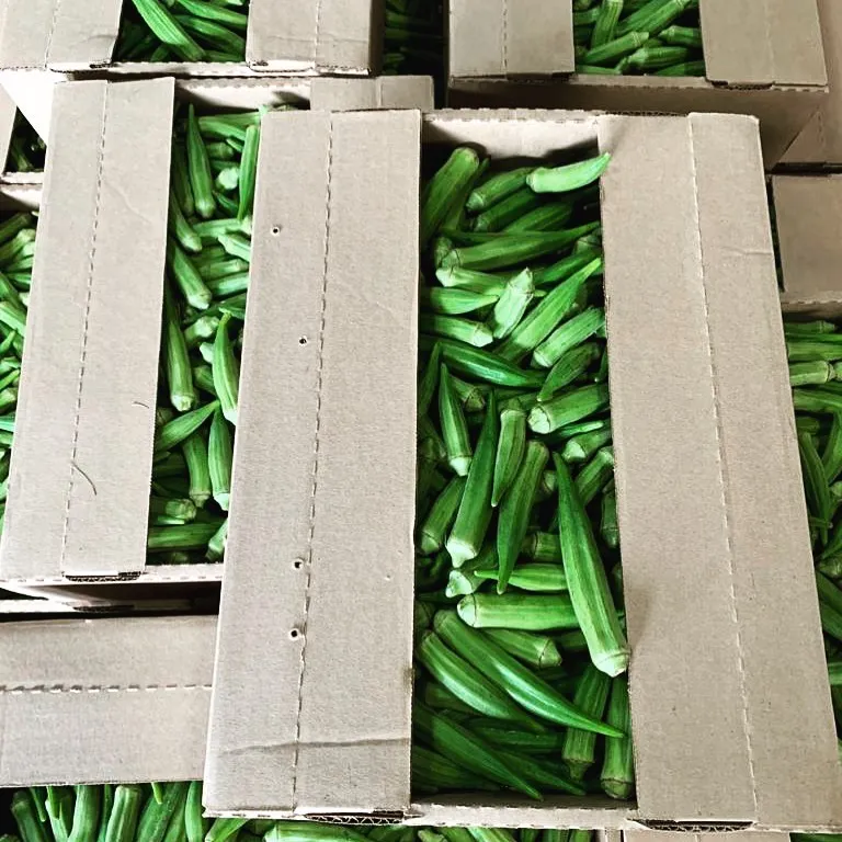 Качественный свежий Okra Дамский органический Лучшая