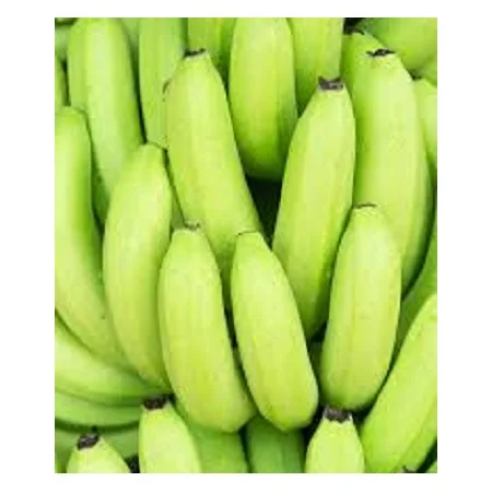 HIGH QUALITY FRESH CAVENDISH BANANAS