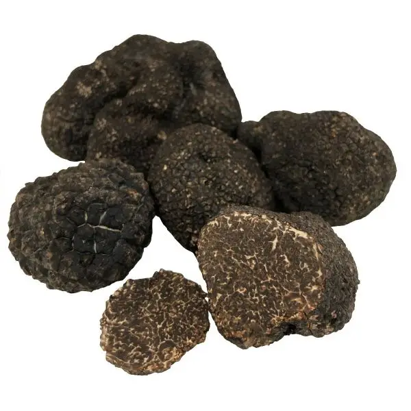 Wholesale Exporter of fresh mushrooms for nutritional purposes
