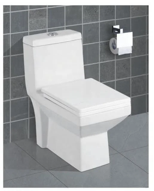 Export Quality Factory Wholesale Ceramic Wc Toilet Washdown S-trap One-Piece in China
