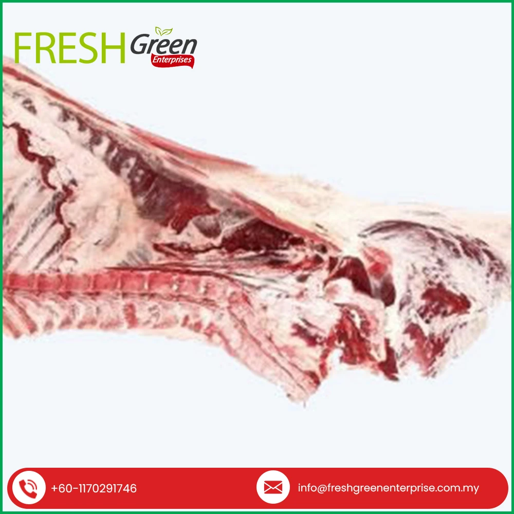 Wholesale Worldwide Export of High Quality Halal Frozen Beef Hinder-Quarter at Least Price