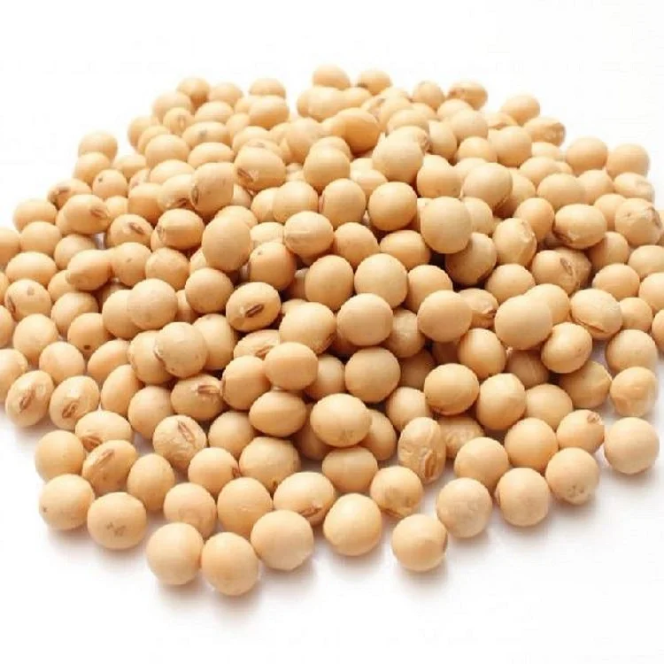 Высокое качество NON-GMO соевые бобы 100% органические по оптовой цене