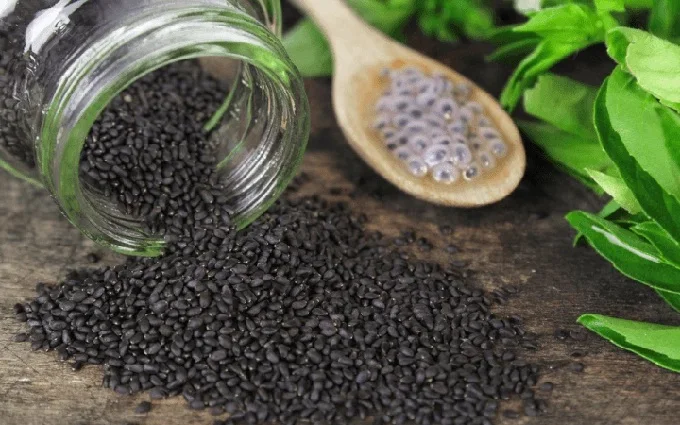 Basil Seeds