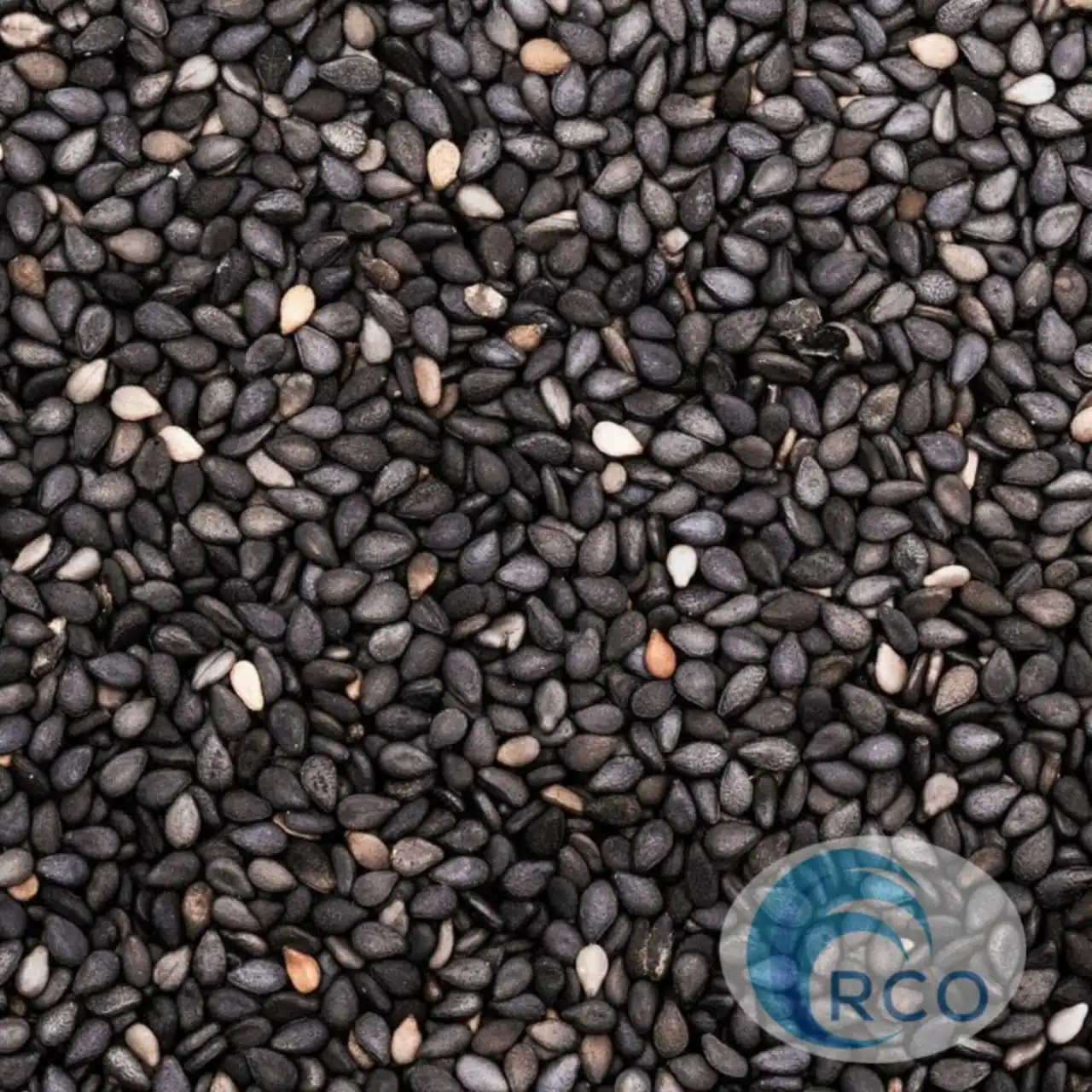 Wholesale Natural Raw Sesame Seeds Pure Black Sesame Seed new crops available fresh quality from Bangladesh