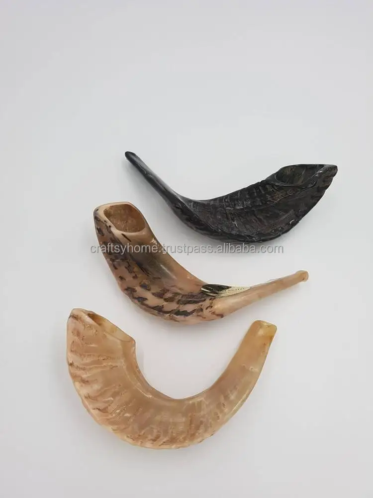 Wholesale Price Polished shofar Genuine Natural Ram Horn shofar for sale shofar kudu horn polished from India