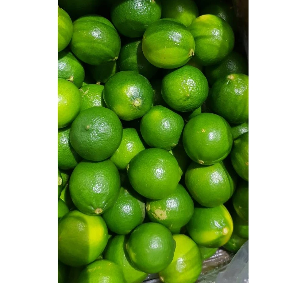 Export Lemon without seeds/ seedless lime competitive price for exporting 2022 made in Vietnam