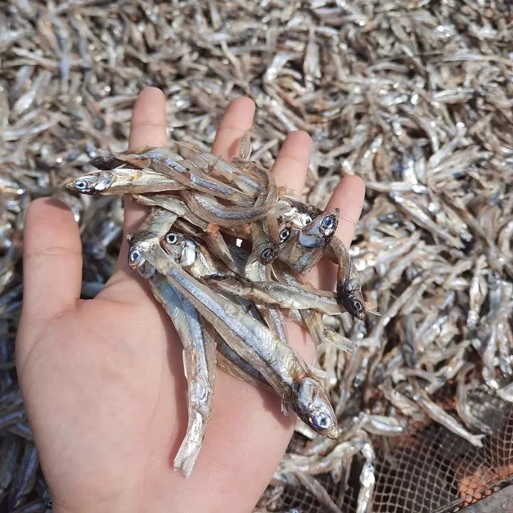 Wholesale OEM Bag Bulk Packing Dried Seafood Boil Anchovy without Head Whole Sun Dry Anchovy