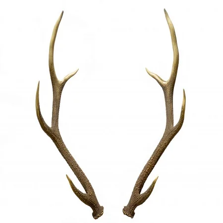 Deer Antler  01.jpg