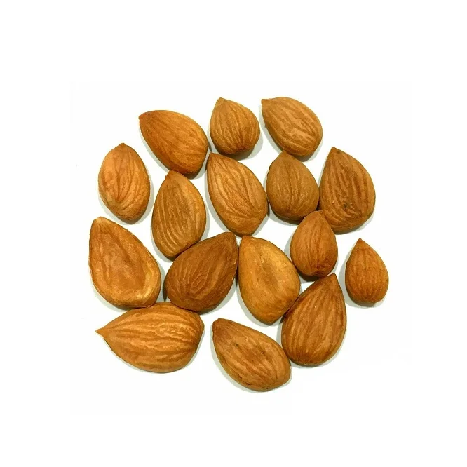 Высококачественные чисто-сырые органические абрикосовые орехи для продажи по самой низкой оптовой цене