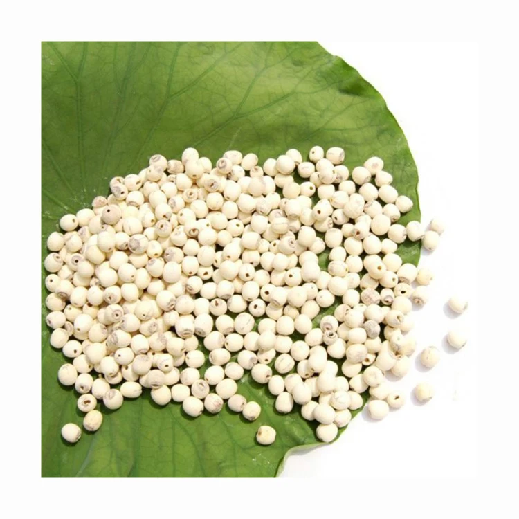 Popular Natural Dried White Lotus Seeds Edible Zero Additives Lotus Flower Seed Lian Zi for Cooking Soup Dessert
