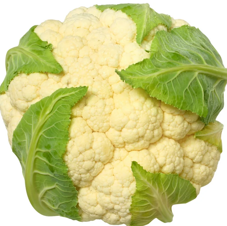 %100 Natural High Quality Fresh Cauliflower Common Wholesale High Quality No Frozen Fresh Vegetable Cauliflower
