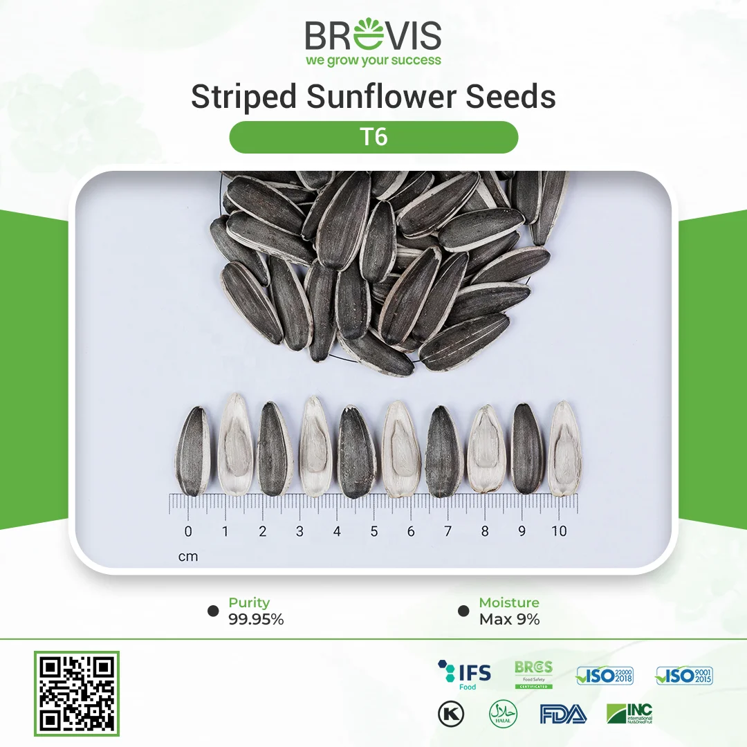 T6 NEW CROP Top Sale Big Size Long Shape Sunflower Seeds Nuts & Kernels Wholesale Snacks Bulgarian Origin BRC Quality Prompt De