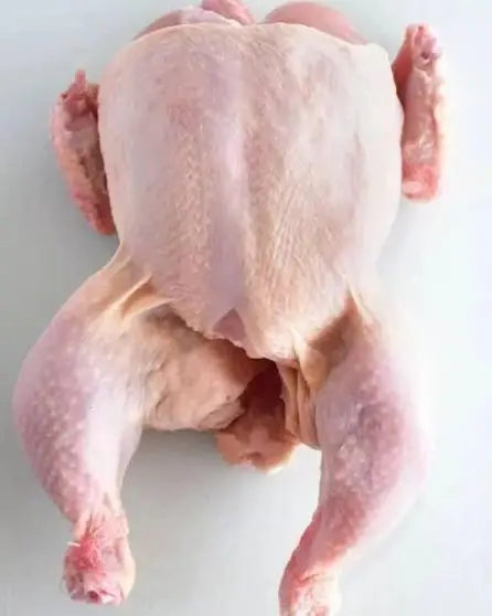 Buy Bulk Sale Processed Frozen Chicken Mid Wings Available for Sales