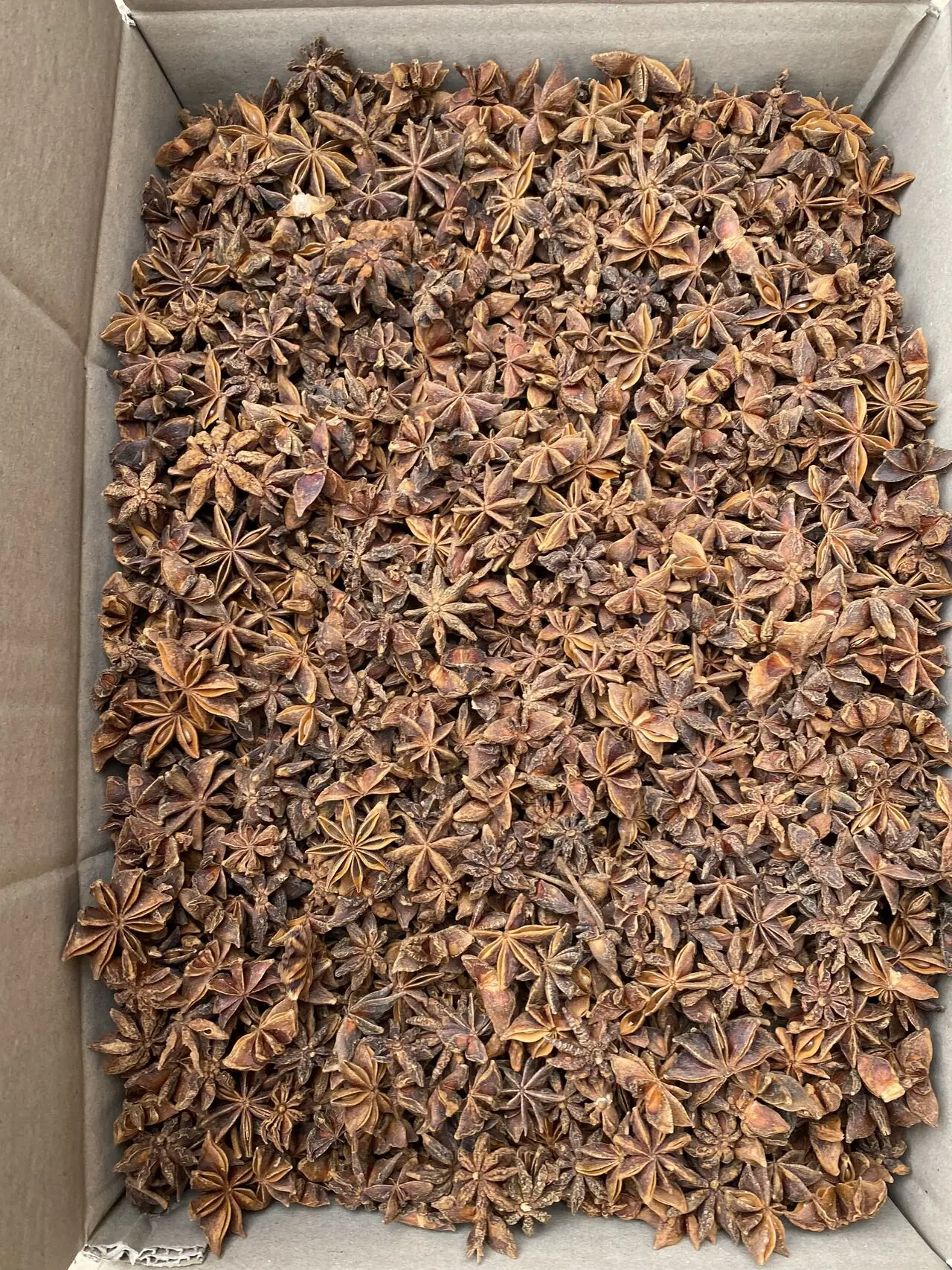 CINNAMON/ CASSIA AND STAR ANISE HIGH QUALITY FROM VIETNAM