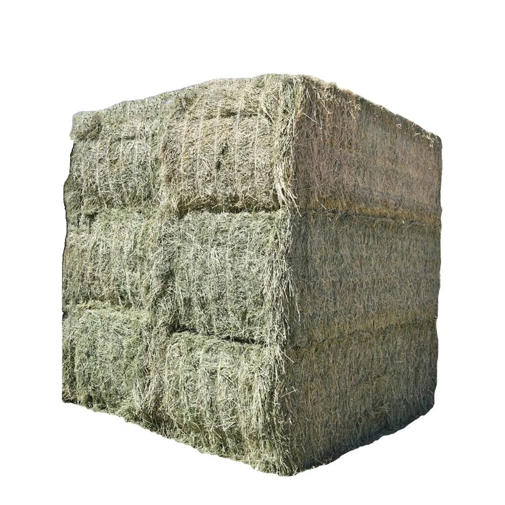 Rhode Grass Hay / Alfalfa Hay/Timothy Hay For Animal Feed