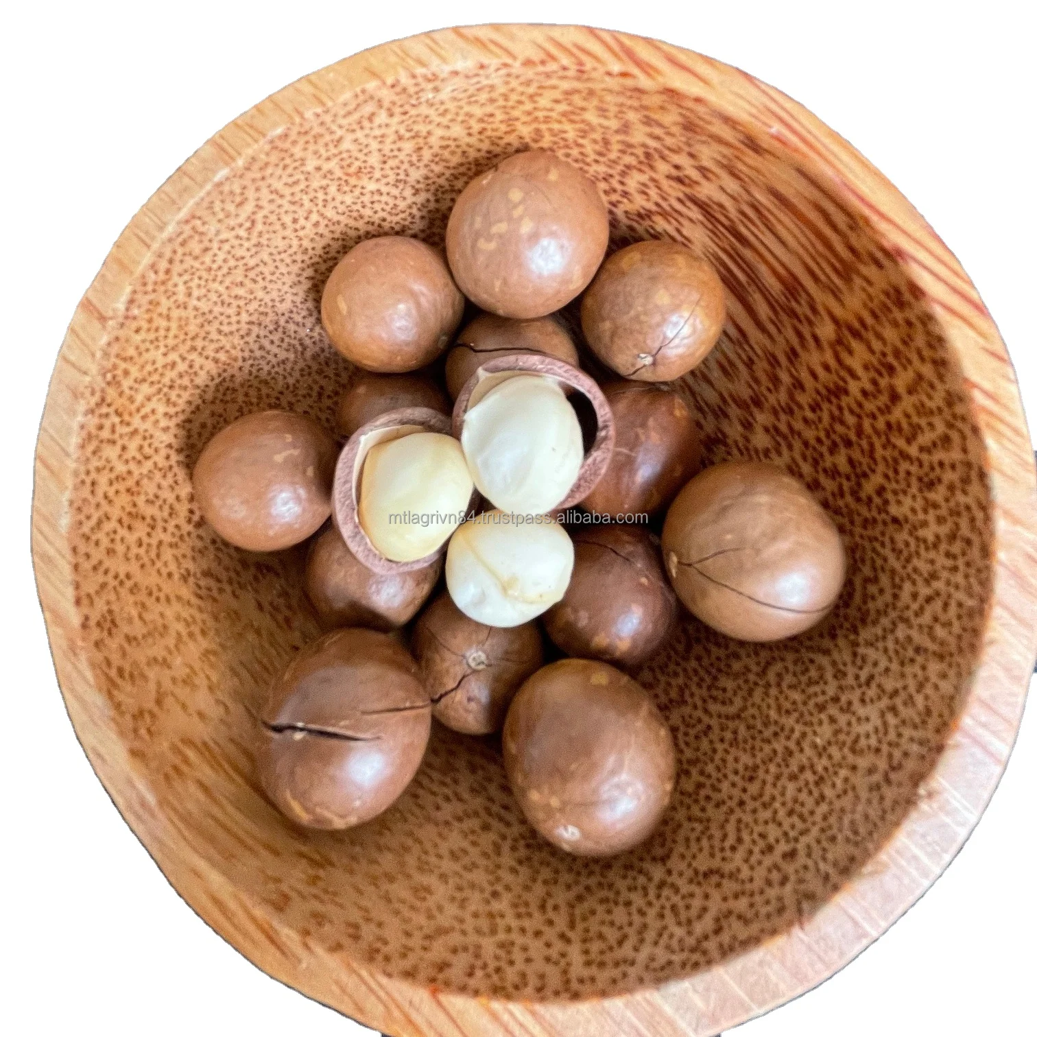 12 Months Shelf Life Macadamia Direct Use Raw Dried 100% Natural Nutritious Food Natural Taste Macadamia Nuts